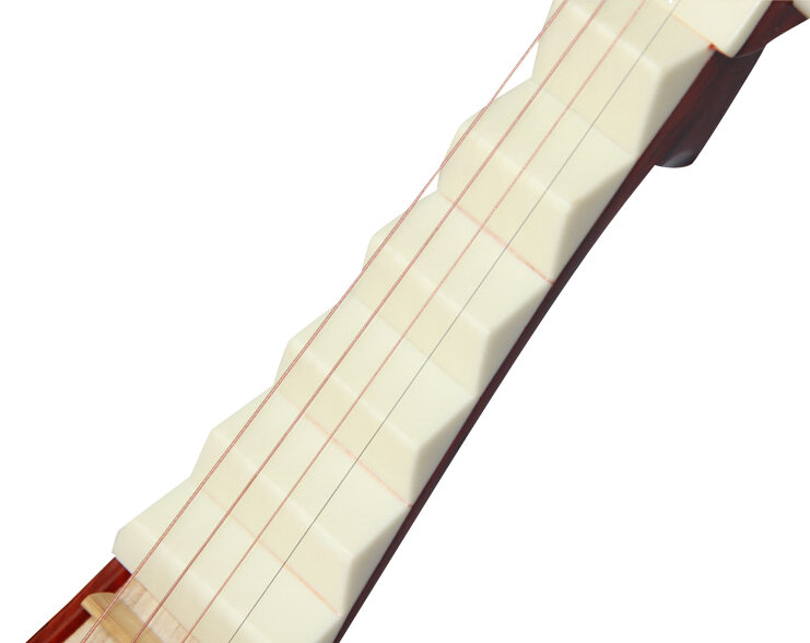 Professional Level Aged Rosy Sandalwood Pipa Instrument Chinese Lute With Accessories