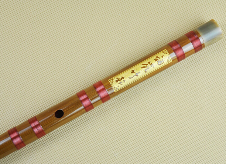 Professional Level Chinese Purple Bamboo Flute Dizi Instrument with Accessories