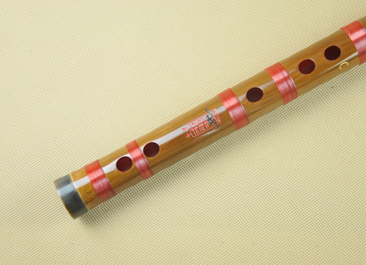 Professional Level Chinese Purple Bamboo Flute Dizi Instrument with Accessories