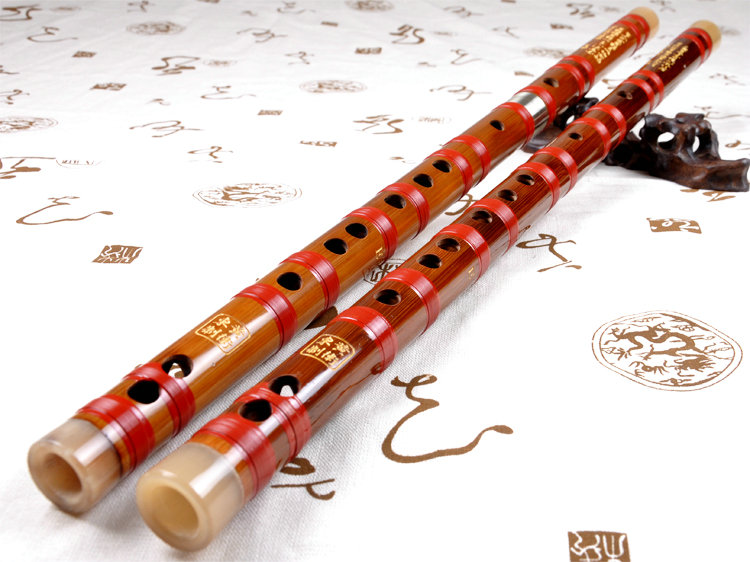 Professional Level Bitter Bamboo Flute Chinese Dizi Instrument with Accessories