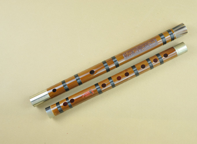 Concert Grade Bitter Bamboo Flute Chinese Dizi Instrument with Accessories 2 Sections