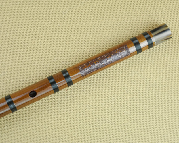 Concert Grade Bitter Bamboo Flute Chinese Dizi Instrument with Accessories 2 Sections