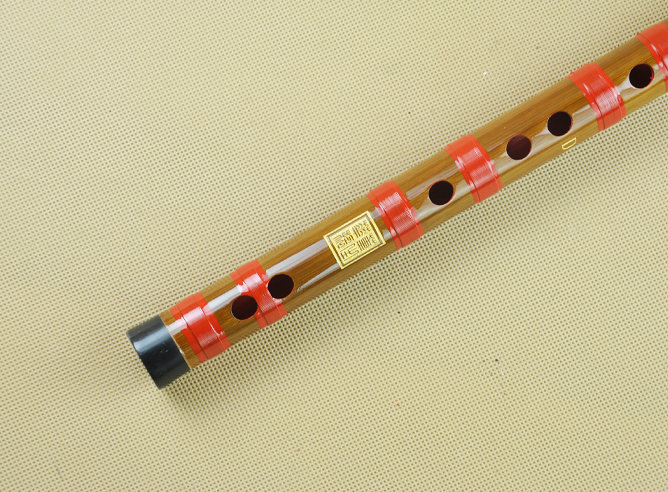 Study Level Chinese Bitter Bamboo Flute Dizi Instrument with Accessories 2 Sections