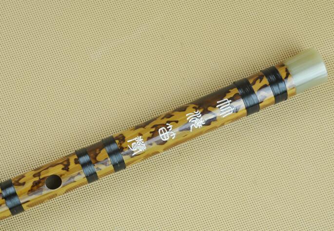 Professional Chinese Bitter Bamboo Flute Dizi Instrument with Accessories 2 Sections