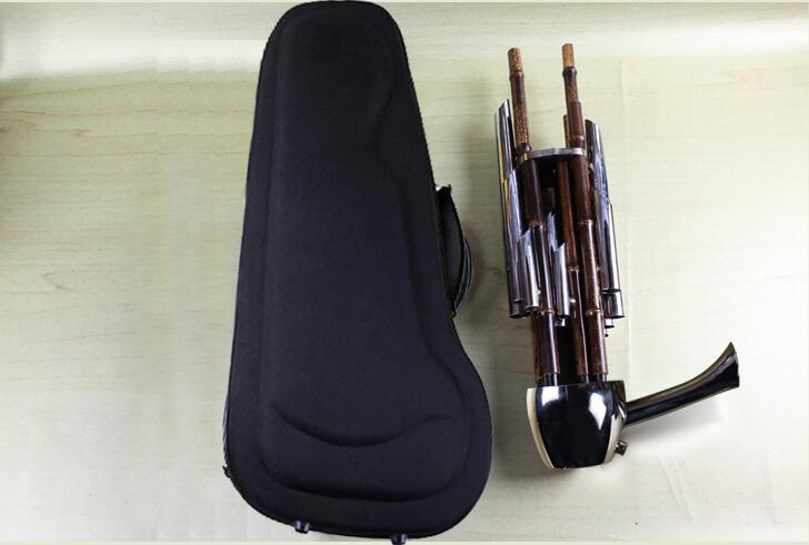 Professional Level Chinese Ancient Instrument Sheng 14 Pipes With Case