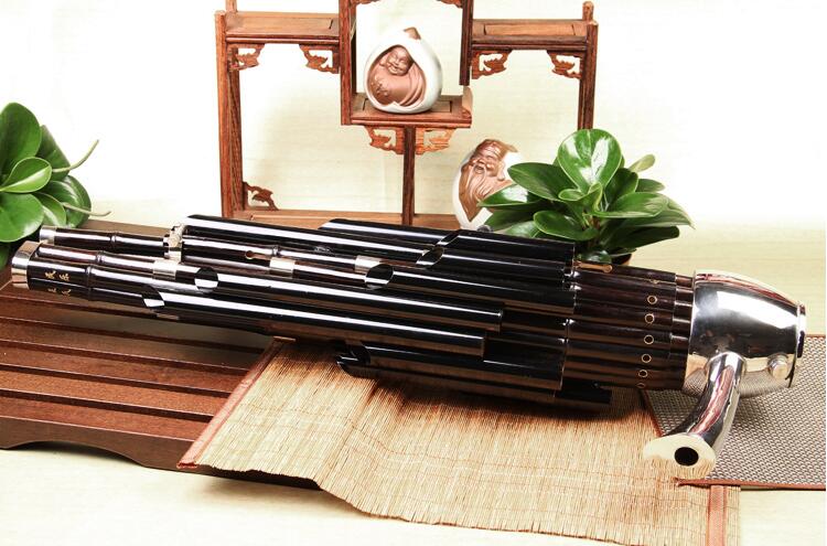 Concert Level Chinese Ancient Instrument Sheng 21 Pipes With Case