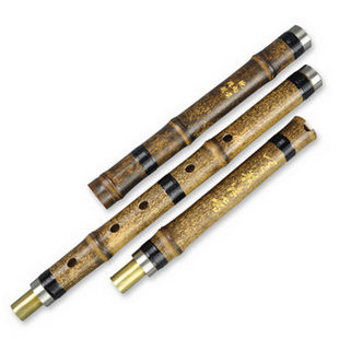 Kaufen Acheter Achat Kopen Buy Master Made Purple Bamboo Flute Xiao Instrument Chinese Shakuhachi 3 Sections