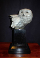 BRONZE Mike Curtis "Snowy Owl Bust"