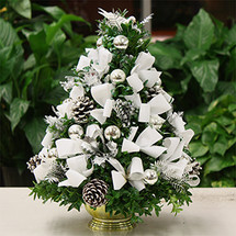 Peace On Earth Boxwood Tree