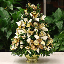 Celebrate The Season Boxwood Tree