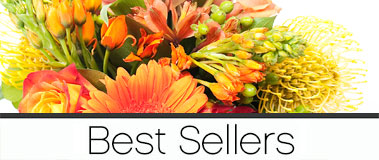 Best Sellers Category