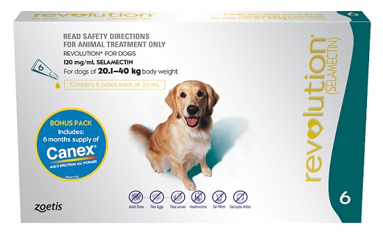 Revolution for Dogs Without Rx Prescription