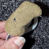 How to Apply the Hearing Aid Sweat Band to Cochlear hearing aids - 8