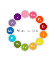 Micro Nutrient Panel (***MetaOmics Integration requires purchase of additional test panels)
