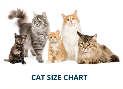 cat-size.jpg