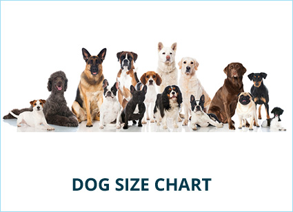 dog-size.jpg
