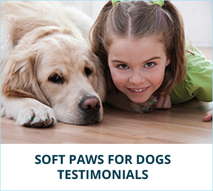 testimonial-dog-banner.jpg