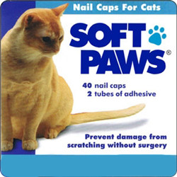 soft paws application