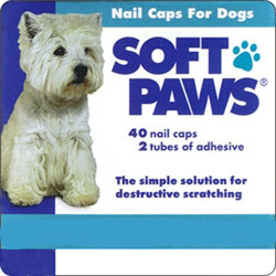 soft paws nail caps for dogs