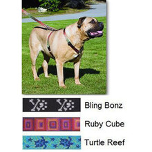Lupine 1 Inch Adjustable Dog Harness