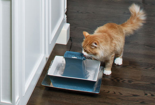 Drinkwell Pagoda Fountain Softpaws Com