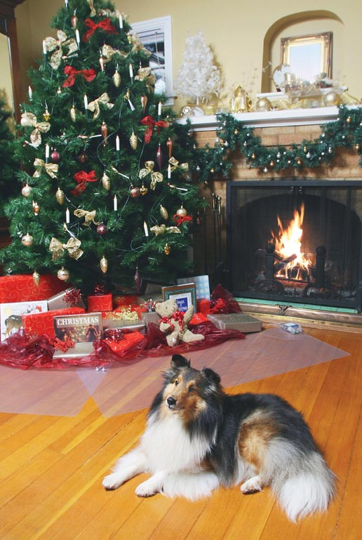 ScatMat Pet Proofing Mats - Continental US Orders Only - SoftPaws.com Larger / More Photos - ScatMat Pet Proofing Mats - Continental US Orders Only - SoftPaws.com