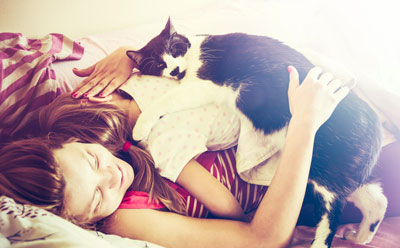 Soft Paws® can improve your relationship with your cat.