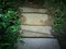 Image 29