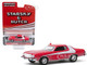 1976 Ford Gran Torino Red White Stripe Dirty Version Starsky and Hutch 1975 1979 TV Series Hollywood Special Edition 1/64 Diecast Model Car Greenlight 44855 F