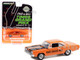 1969 Plymouth Road Runner Orange Black Stripes Official Pace Car 1968 Los Angeles Times Grand Prix at Riverside International Raceway Hobby Exclusive 1/64 Diecast Model Car Greenlight 30273
