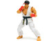 Ryu 6 Moveable Figure with Accessories and Alternate Head and Hands Ultra Street Fighter II The Final Challengers 2017 Video Game Model Jada 34215
