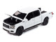 2020 Ford F 150 FX4 Black Appearance Package Pickup Truck Oxford White Muscle Trucks Series 1/64 Diecast Model Car Auto World 64502-AWSP188A