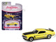 1969 Ford Mustang Boss 302 Bright Yellow with Black Hood and Stripes Barrett Jackson Series 15 1/64 Diecast Model Car Greenlight 37320B