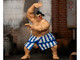 E Honda 6 5 Moveable Figure with Accessories and Alternate Head and Hands Ultra Street Fighter II The Final Challengers 2017 Video Game Model Jada 35740
