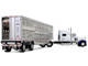 Peterbilt 379 with 70 Mid Roof Sleeper and Wilson Silverstar Livestock Trailer National Carriers White Legacy Series #5 1/64 Diecast Model DCP/First Gear 69-2306 Peterbilt 379 with 70 Mid Roof Sleeper and Wilson Silverstar Livestock Trailer National Carriers White Legacy Series #5 1/64 Diecast Model DCP/First Gear 69-2306