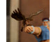 T Hawk 7 5 Moveable Figure with Accessories and Alternate Head and Hands Ultra Street Fighter II The Final Challengers 2017 Video Game Model Jada 35739 T Hawk 7 5 Moveable Figure with Accessories and Alternate Head and Hands Ultra Street Fighter II The Final Challengers 2017 Video Game Model Jada 35739