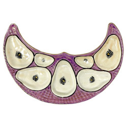 Antique Continental Porcelain Pink & Gold Crescent-Shaped Oyster Plate, Circa 1890.