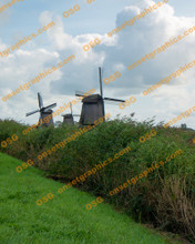 WIND MILLS