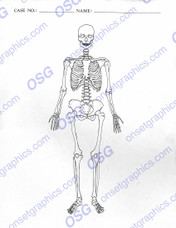 Autopsy Report Skeleton Anterior - Blank