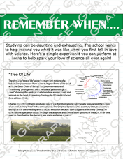 Science Experiment 2