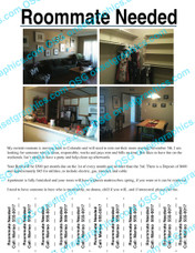 Roommate Needed Flyer
