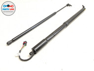 2010-2019 JAGUAR XJ X351 REAR TRUNK DECK LIFT LID STRUT SHOCK SUPPORT SET-2 OEM XJ062519-044