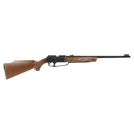 Daisy 990880-603 880 Multi-Pump .177 Cal BB Pellet Carbine Black Air Gun Rifle