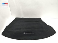 2022-25 Lexus NX350h Rear Carpet Floor Mat Trim Liner Cargo Cover OEM USA NX250 NX010126-038