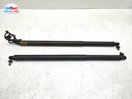 2020-2025 MERCEDES-BENZ GLS580 LIFTGATE TAILGATE STRUT LIFT SUPPORT SET OEM MB042026-180