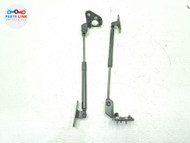 2024-2026 TESLA MODEL 3 HOOD BONNET LEFT & RIGHT SIDE LIFT SUPPORT STRUT OEM TS072926-186
