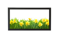 10x20 Panoramic Frame - Wide Satin Black