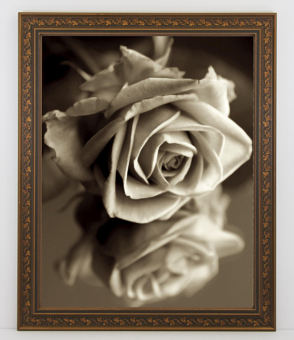 Download 11x17 Antique Black With Gold Ivy Frame Anysizeframe Com