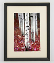 12x16 Thin Black Bevel Frame