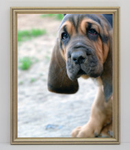 12x18 Warm Silver with Bead Frame